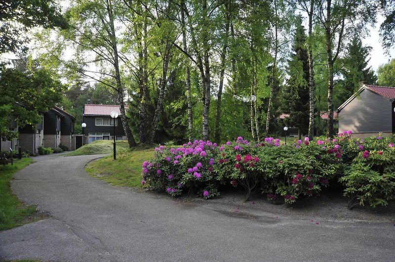 Fletcher Hotel Restaurant De Wipselberg-Veluwe ベークベーゲン エクステリア 写真